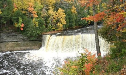 Plan Your Autumn Camping Trip Around These Peak Fall Colors Dates