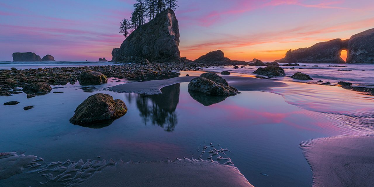 Summer Beaches, Shores And Coastlines Assignment Winner Harry Lichtman