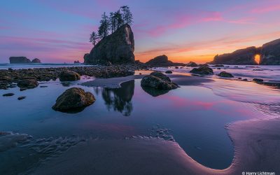 Summer Beaches, Shores And Coastlines Assignment Winner Harry Lichtman