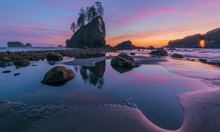 Summer Beaches, Shores And Coastlines Assignment Winner Harry Lichtman