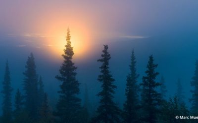 The Art Of Seeing, Part 3