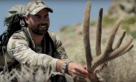 Watch Remi Warren’s Deep History With Nevada Mule Deer Come to Fruition