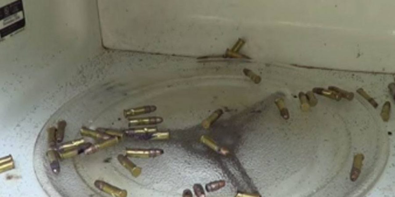 What Happens When You Microwave Bullets?