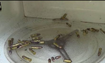 What Happens When You Microwave Bullets?