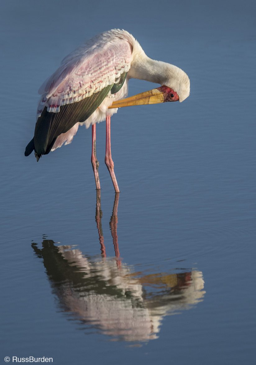 What Will I Be Given In Nature Photography?