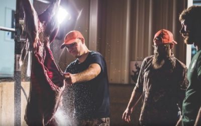 What You Need to Know About QDMA’s Field to Fork Program