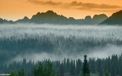 When It Dawned On Me, Part 2: Midday