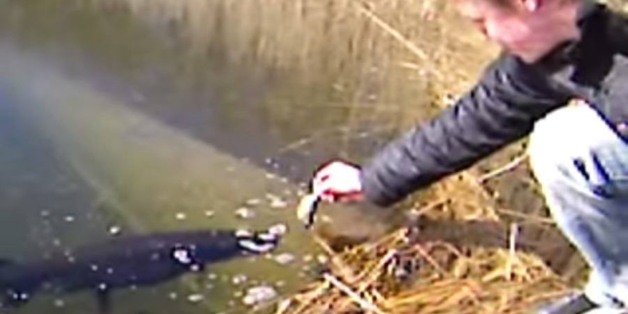 Who Goes Handfishing for Pike? Seriously?