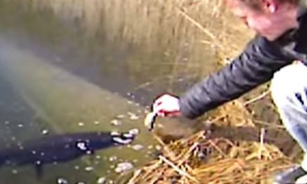 Who Goes Handfishing for Pike? Seriously?