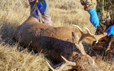 You Actually Don’t Have to Know How to Butcher a Deer Completely