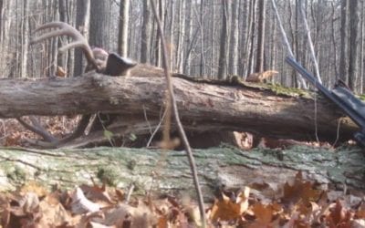 5 Things to Think About When You Cut Shooting Lanes