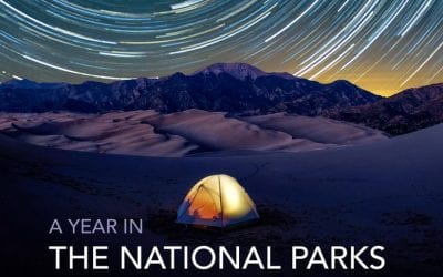 A Year Photographing The National Parks