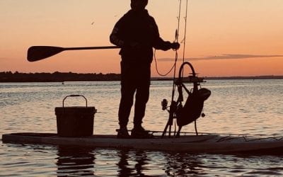 Hoping for more big bass, fresh and salt