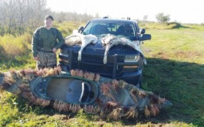 Brothers in Trouble After Illegal Swan Hunt in Michigan