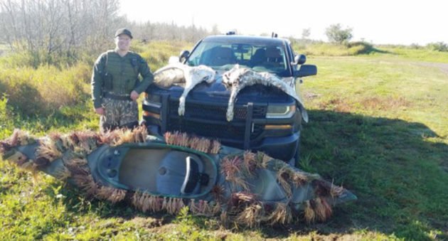 Brothers in Trouble After Illegal Swan Hunt in Michigan