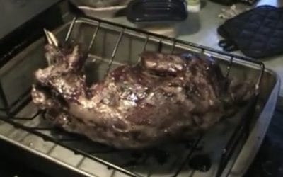 Brush Up On Cleaning and Cooking a Raccoon