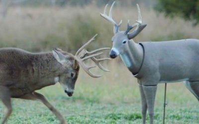 Buck Destroys a Decoy in This Realtree Hunting Video