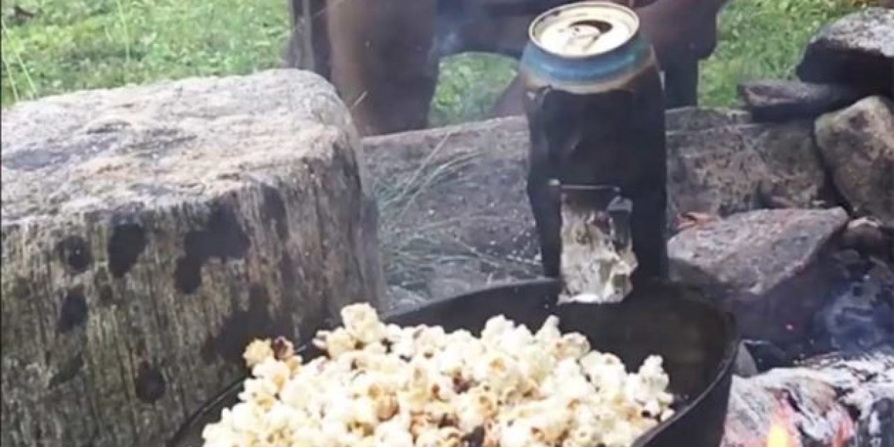 Campfire Popcorn Hack: Can You Use an Empty Beer Can?