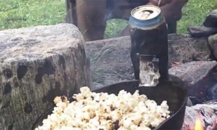 Campfire Popcorn Hack: Can You Use an Empty Beer Can?