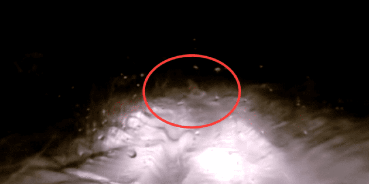 Could This Be a Russian Yeti Caught on a Dash Cam?