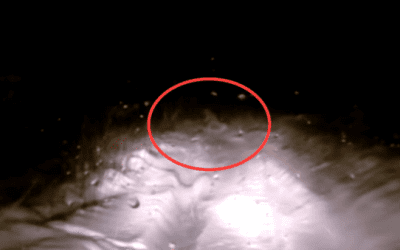 Could This Be a Russian Yeti Caught on a Dash Cam?
