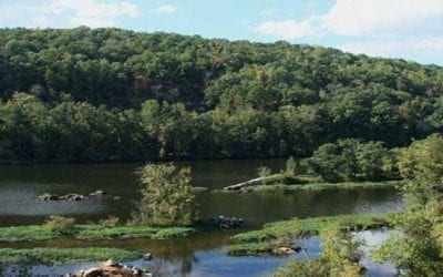 Ducks Unlimited and Wrangler Join Forces for Conservation