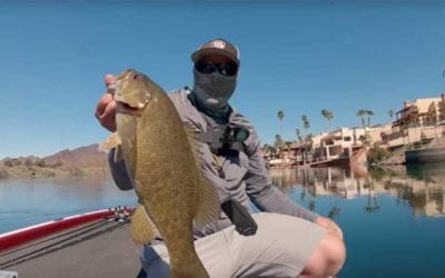 Fall Finesse Fishing Tips for the Hungriest Time of the Year