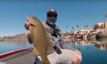 Fall Finesse Fishing Tips for the Hungriest Time of the Year