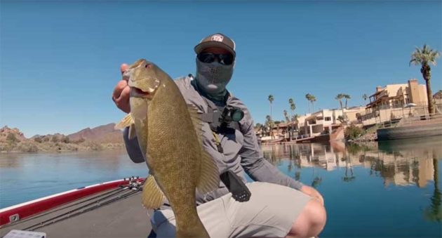 Fall Finesse Fishing Tips for the Hungriest Time of the Year