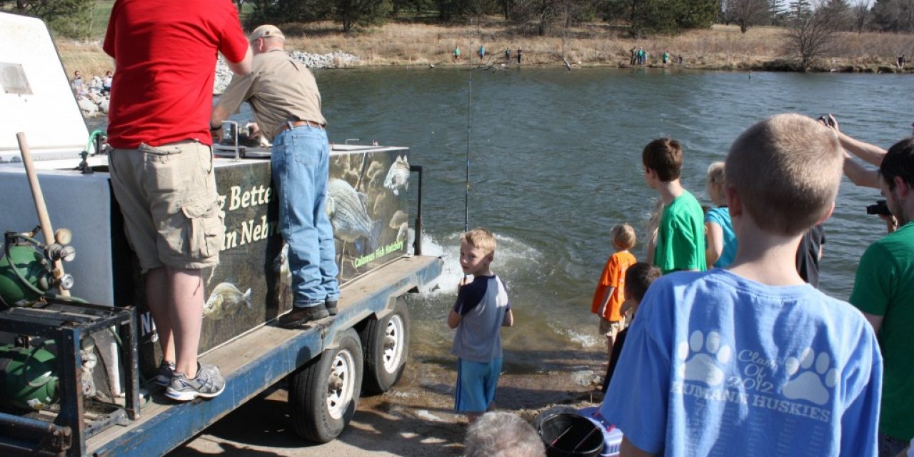 Fall Trout Stockings 2019, The Rest