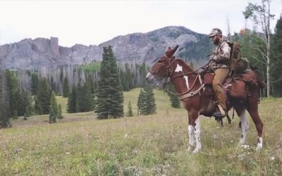 Father and Son Take Mules into Colorado Backcountry for Memorable Elk Hunt