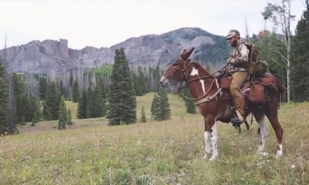 Father and Son Take Mules into Colorado Backcountry for Memorable Elk Hunt