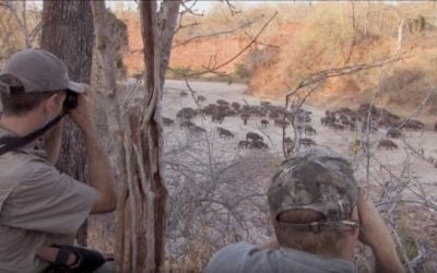 Here’s a Perfect Response to Anti-Hunter Harassment