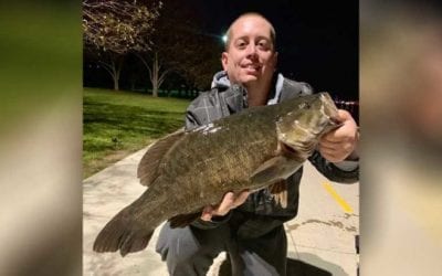 Illinois State Record Smallmouth Bass Caught In, of All Places, Downtown Chicago