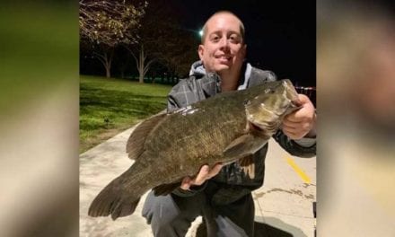 Illinois State Record Smallmouth Bass Caught In, of All Places, Downtown Chicago