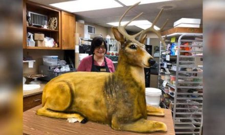 Incredible Lifelike Deer Cake Created for Pennsylvania Wedding, Instantly Goes Viral