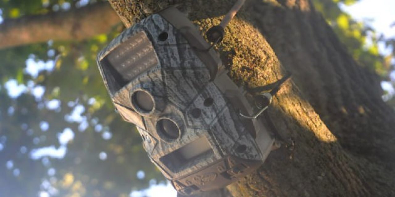 Keep Your Trail Cams and Treestands Safe With This Smart Gear