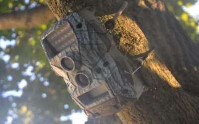 Keep Your Trail Cams and Treestands Safe With This Smart Gear