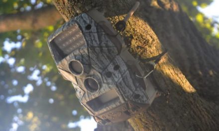 Keep Your Trail Cams and Treestands Safe With This Smart Gear