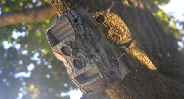 Trail Camera Theft Protection