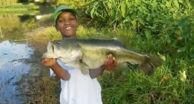 big bass