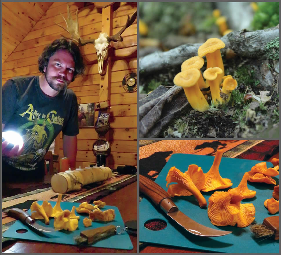 Ryan Bouchard, The Mushroom Hunting Foundation