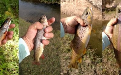 National Hunting and Fishing Day
