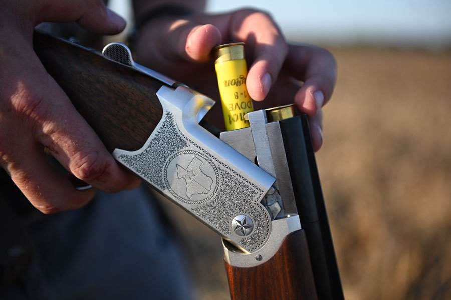 dove hunting