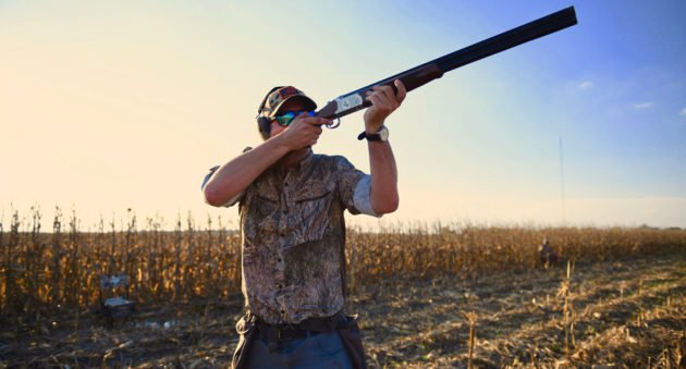 dove hunting