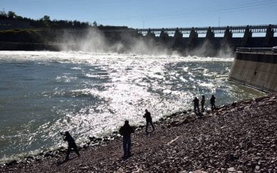 Paddlefish Snagging Season