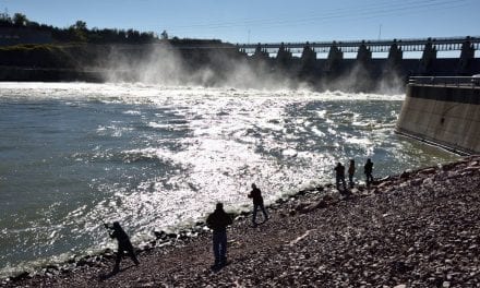 Paddlefish Snagging Season