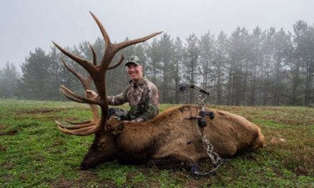 Pennsylvania’s First-Ever Archery Bull Elk Harvested on Opening Day of Inaugural Season