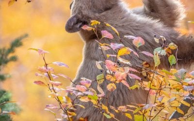 Photo Of The Day By Ann P Kramer
