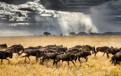Photo Of The Day By Greg Comstock